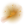 Rare Shine
